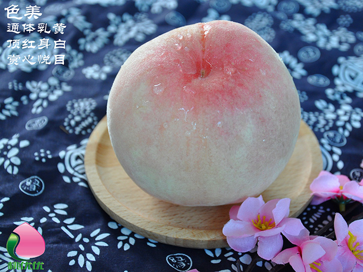 阳山水蜜桃